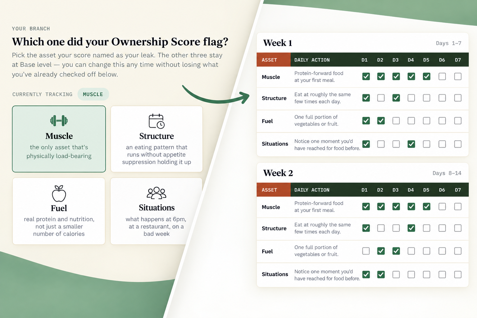 4-Week Ownership Tracker